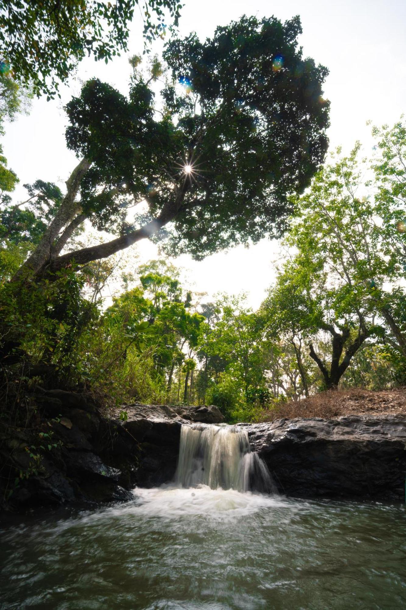 Kingmaker'S Plantation With River Stream Madikeri Extérieur photo
