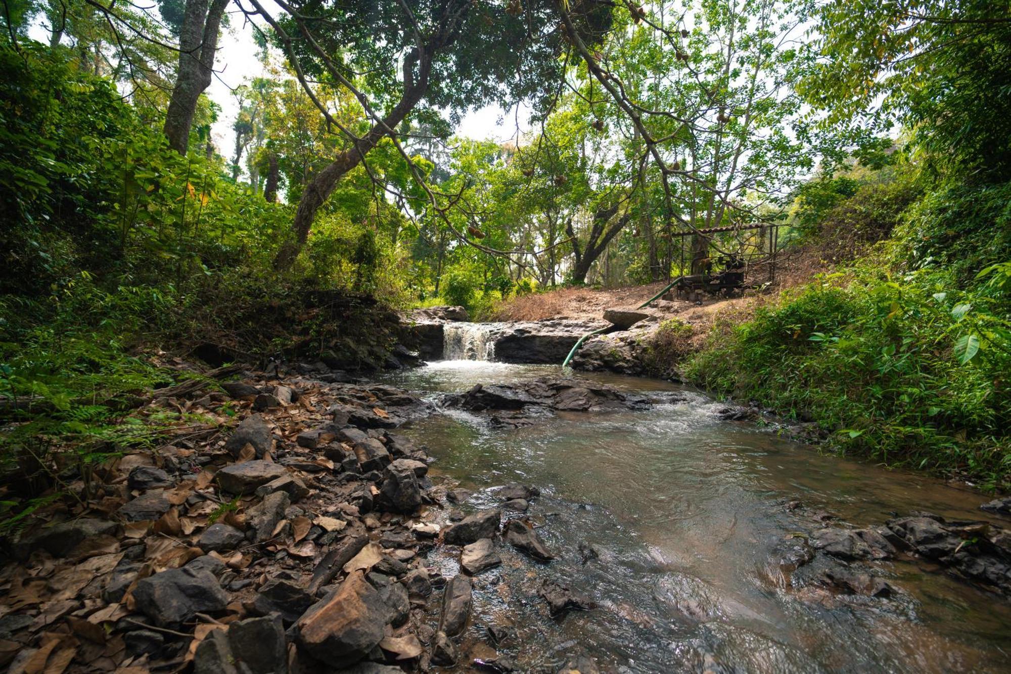 Kingmaker'S Plantation With River Stream Madikeri Extérieur photo