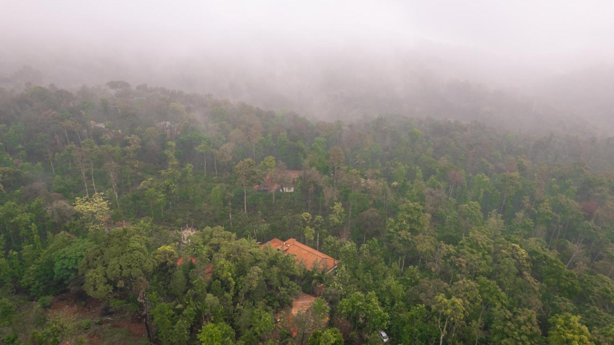 Kingmaker'S Plantation With River Stream Madikeri Extérieur photo